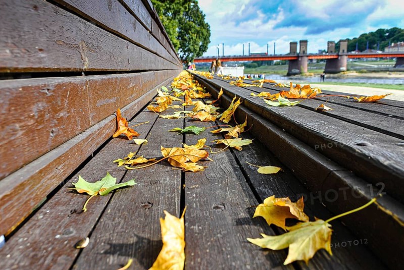 Macro photo of yellow autumn leaves on a wooden bench in the park against the blue sky, selective focus, Autumn leaves scattered on a wooden deck with a bridge and trees in the background under a cloudy sky, Kaunas, Lithuania