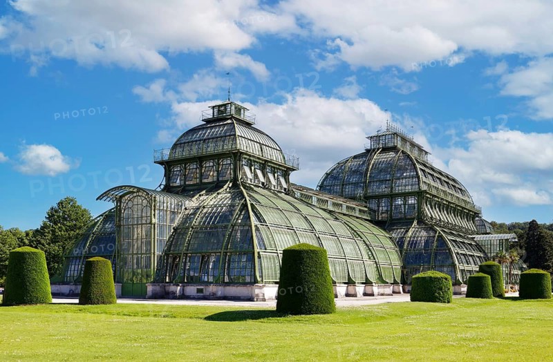Palm house, Habsburg plant collections with 4500 plant species, largest glass house in mainland Europe, Schönbrunn Palace, former summer residence of the Habsburgs, baroque, three-winged complex, built 1695-1743, UNESCO World Heritage, Hietzing, 13th district, Vienna, Austria