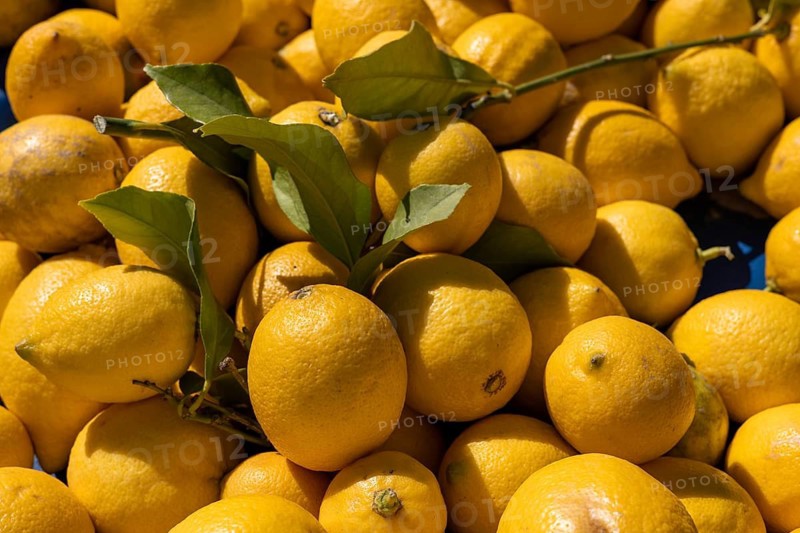 Pile of fresh yellow lemons with green leaves under bright sunlight
