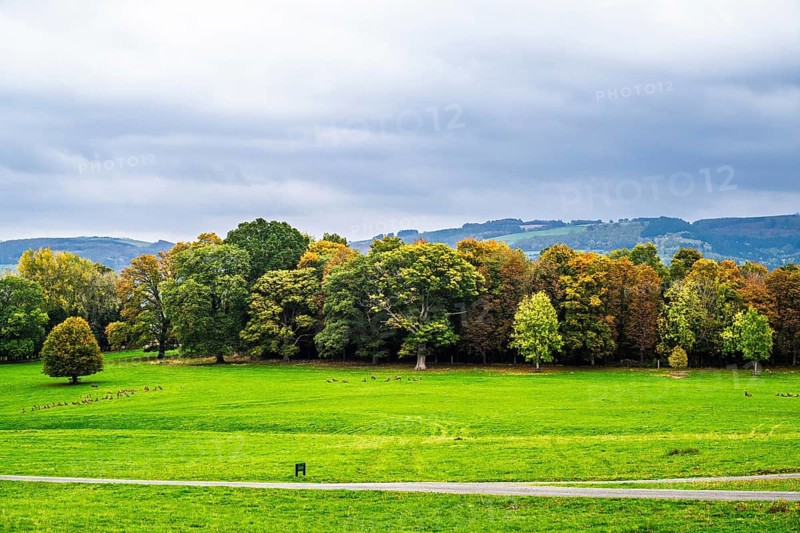 Autumn colors over Powis Castle and Garden, Welshpool, Powys, Wales, UK