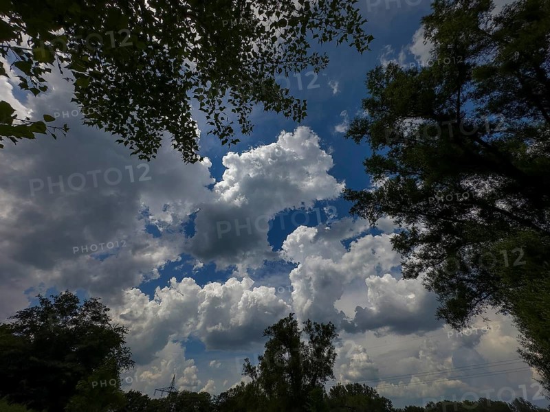 Accumulation of Cumulus cluster clouds, cumulus clouds, fair weather clouds against a blue sky