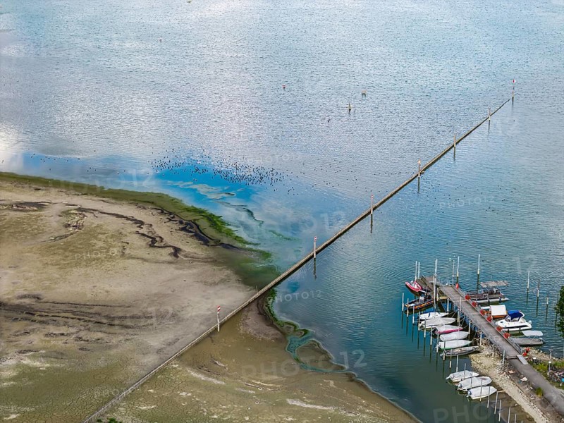 Lake Constance at the port of moss on Lake Constance with little water. The water level is at a low level due to the hot summer. moss is located on the shores of Lake Constance on the Höri peninsula. moss, Baden-Württemberg, Germany
