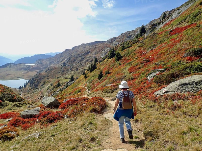 Person hiking a trail along autumn-colored mountains under cloudy sky, Fiescheralp, UNESCO World Heritage Site Swiss Alps Jungfrau-Aletsch, Canton of Valais, Switzerland