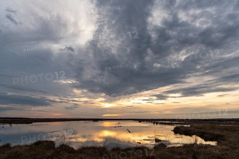 Evening sky over Goldenstedter Moor, Goldenstedt, Lower Saxony, Germany