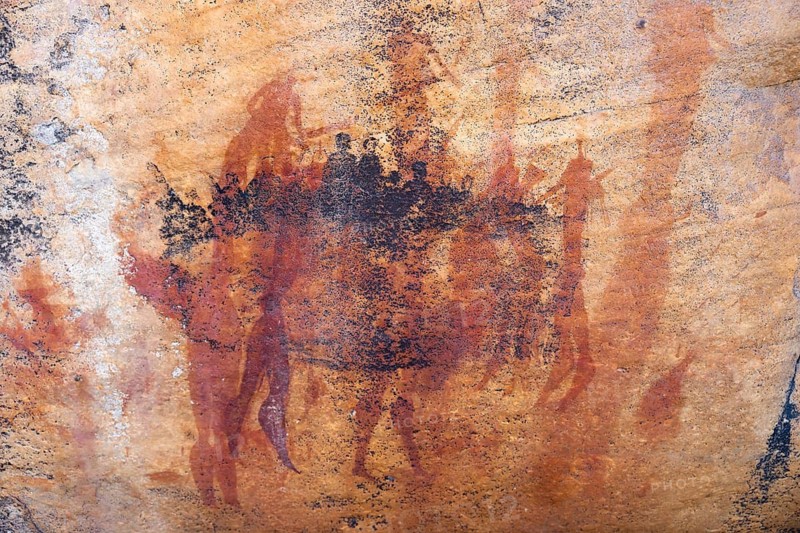 Prehistoric animal depictions, ancient rock carving of the San, indigenous people of South Africa, Seville Rock Art Trail, Cedar Mountains, Clanwilliam, Western Cape, Republic of South Africa