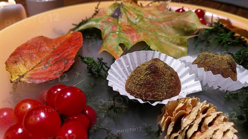 Unusual serve of handmade chocolates, decorated in autumn style, haute cuisine, Decorative autumn-themed arrangement with truffles, berries, and leaves on a plate