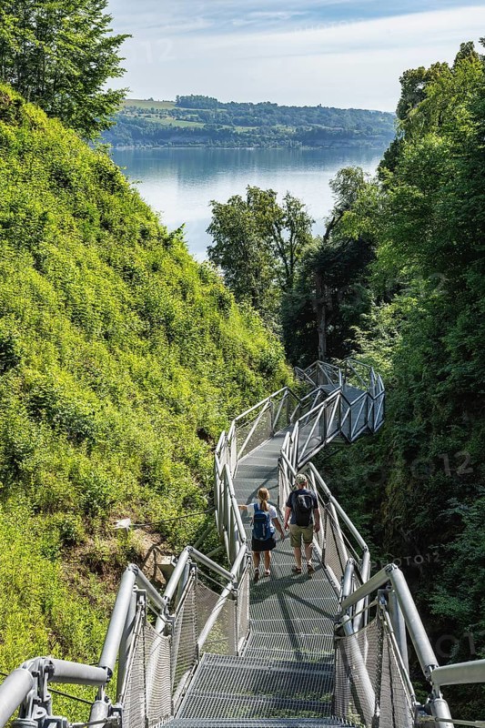 The panoramic jetty of the Marienschlucht, which was opened in 2026 and is accessible to tourism. The new tourist attraction on Lake Constance, consisting of a steel structure weighing a total of 90 tons, runs down to the lakeside with over 280 steps, Langenrain, Allensbach, the district of Constance, Baden-Württemberg, Germany