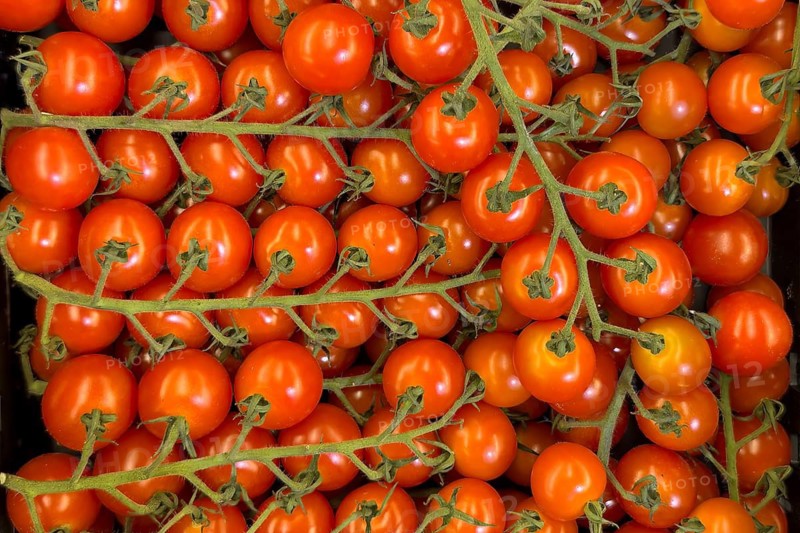 Cultivated tomatoes (Solanum lycopersicum) – vine tomatoes on display in a grocery shop, food retail outlet, supermarket, Germany