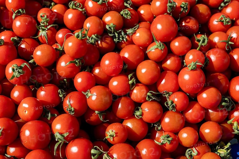 A lot of ripe, organic cherry tomatoes in a vibrant red color