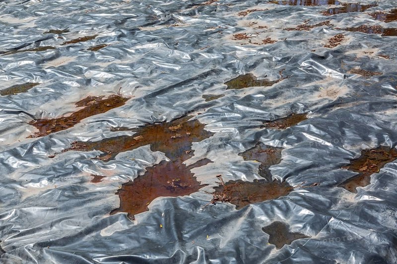 Vegetable garden plot covered with blackish silver heavy duty polyester tarpaulin sheet to protect the soil against harsh winter weather conditions, Quebec, Canada