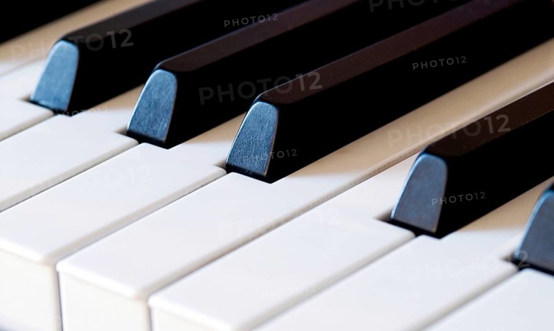 Piano keys - keyboard