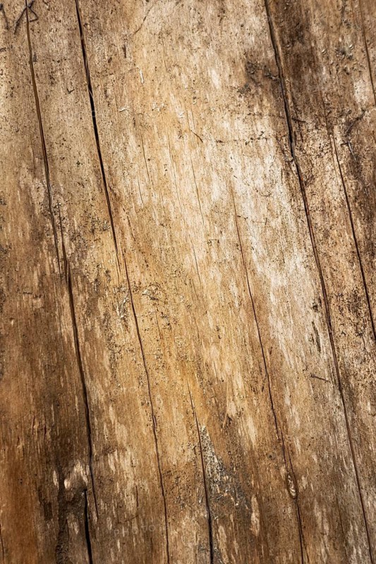 Close-up of a textured wooden surface with natural patterns and grain. The wood appears aged with a warm brown color and subtle variations in tone