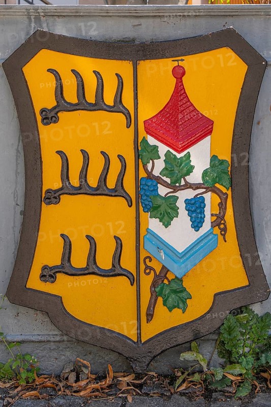 Marbach am Neckar coat of arms at Wilde-Mann-Brunnen, three deer sticks lying one above the other, a square white pewter tower with red pyramid roof and blue base, climbing grapevine with green leaves and blue grapes, city history, coat of arms, city colors, historical symbolism, municipal coat of arms, Neckar city, heraldry, heraldry, municipal coat of arms, Baden-Württemberg, Germany