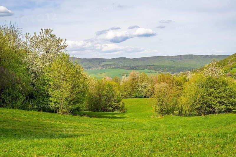 View over the hills with forests and meadows with blooming cherry trees on a sunny day in spring, Horna Suca, Slovakia