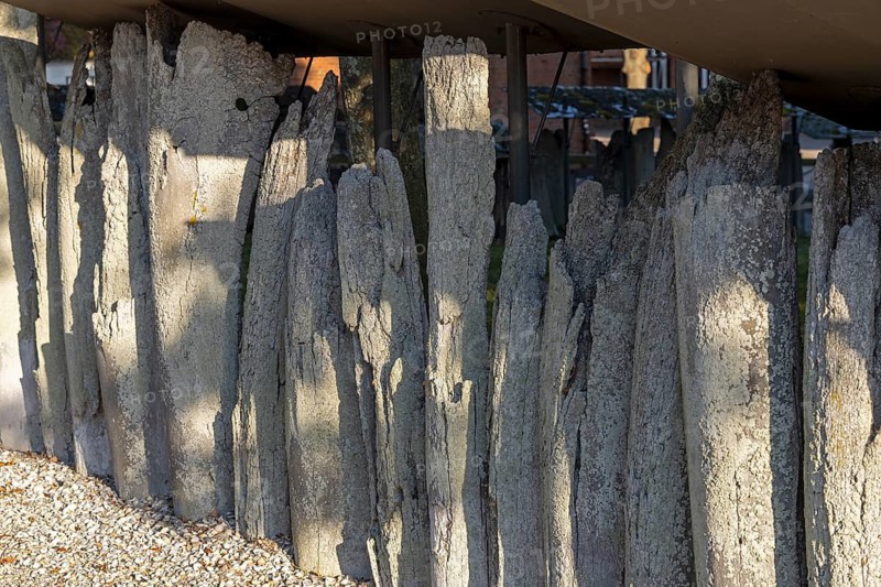 Whale bone fence, Borzburg, East Frisia, Lower Saxony, Germany