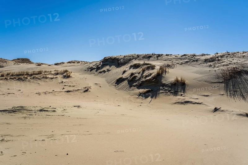 The Gray Dunes, or the Dead Dunes is sandy hills with a bit of green specks at the Lithuanian side of the Curonian Spit, A vast sandy landscape with gentle dunes under a clear blue sky, creating a serene desert scene, Curonian Spit, Neringa, Lithuania