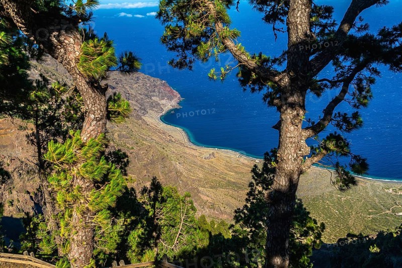 Canary pine trees framing a scenic overlook of el hierro island coastline and the vibrant blue atlantic ocean on a sunny day, showcasing the dramatic volcanic landscape