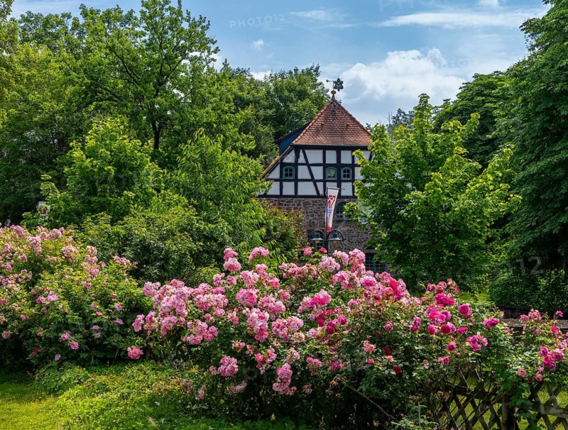 Historic half-timbered houses in the old town of Dreieichenhain, Hesse, Germany