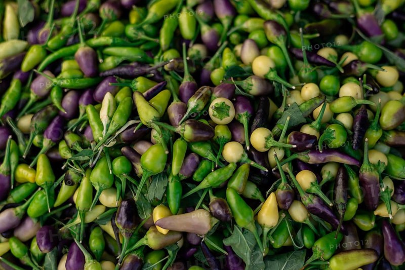Assortment of green and purple chili peppers