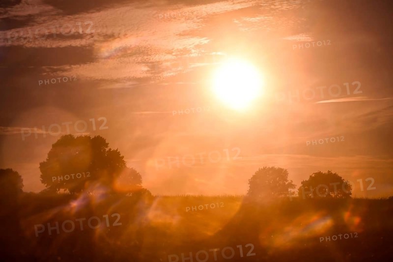 Partial solar eclipse on August 12, 2026 in Hamburg, Germany +++ editorial use only