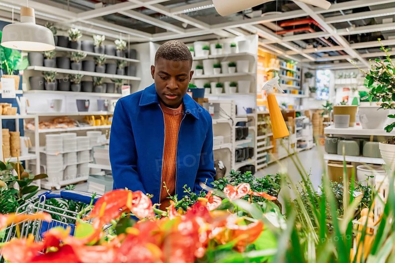 A man is browsing through various indoor plants at a home improvement store. He examines different types of greenery while pushing a shopping cart
