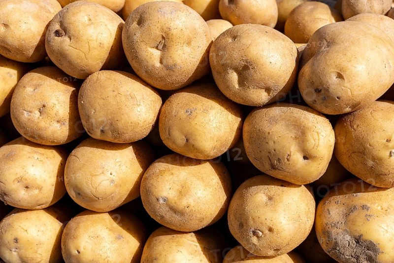 Close-up of a pile of brown potatoes with a natural, earthy texture