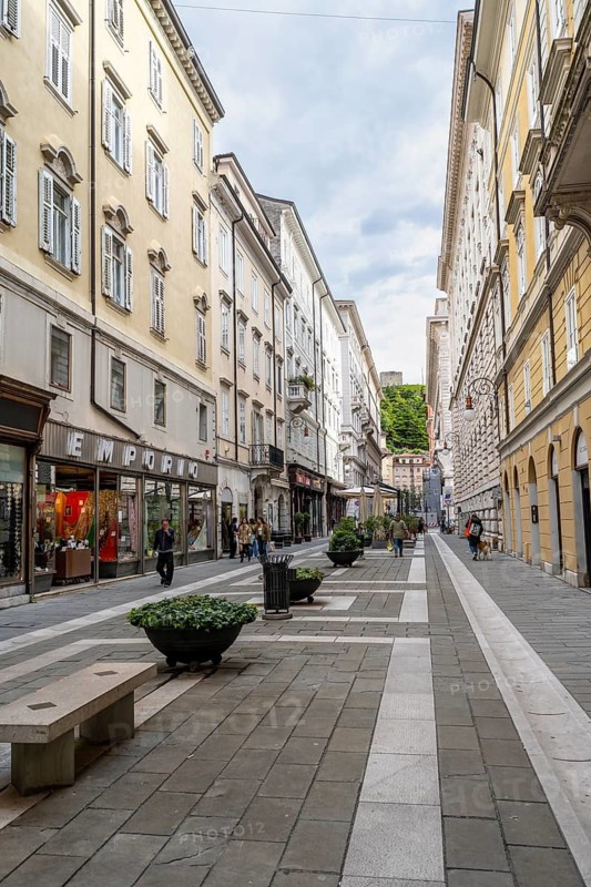 Street with shops Via Santa Caterina da Siena, Borgo Teresiano, Trieste, Friuli-Venezia Giulia Region, Italy