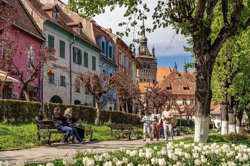 Spring in the Citadel Park and the colorful houses of the old town of Sighisoara or Sighi?oara, Transylvania, Romania