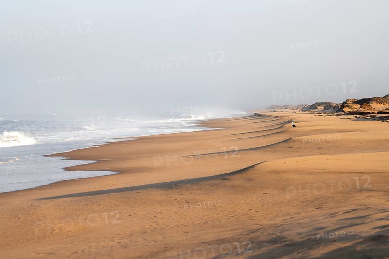 Waves burn on the Atlantic coast, sandy beach in the Namib Desert, desert landscape, Namib Naukluft Park, Namib Desert, Namibia