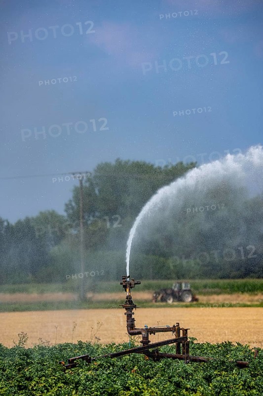 Artificial irrigation of a potato field with an irrigation system, long drought in summer makes this necessary to secure the harvest, north of Kalkar, Lower Rhine, North Rhine-Westphalia, Germany