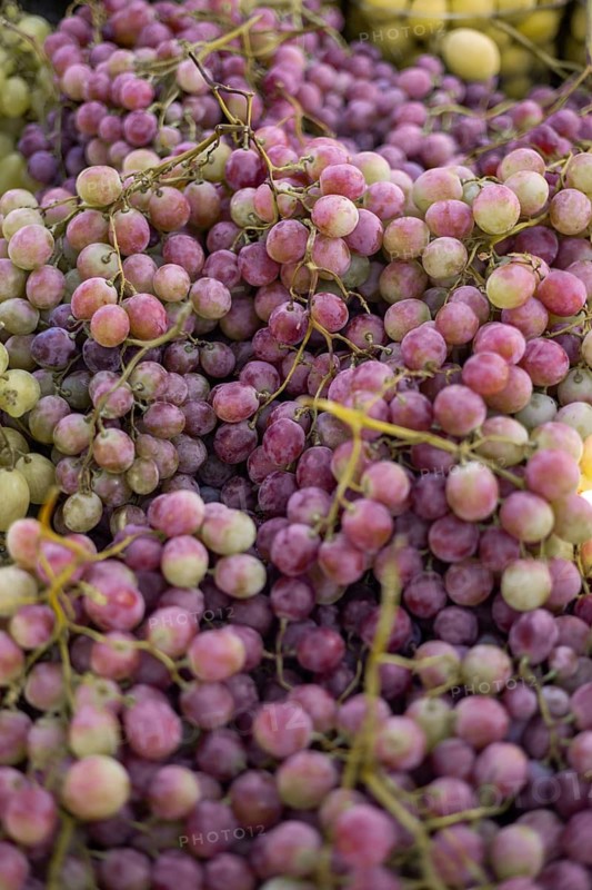Dense cluster of ripe purple grapes