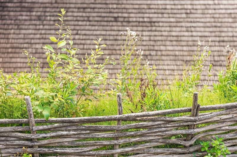 A rustic wooden fence surrounds a lush green garden. Various plants and grasses grow abundantly, creating a natural and serene atmosphere