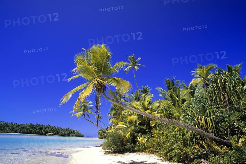 Cook Islands - dream beach - palm beach, Cook Islands