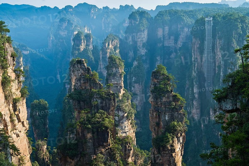 Panoramic view of the quartz sandstone pillars of the Tianzi Mountains in Zhangjiajie National Park to Bailong Elevator, Avatar Mountains, Halleluja Mountains, Wulingyuan, Yuanjiajie, Hunan Province, China