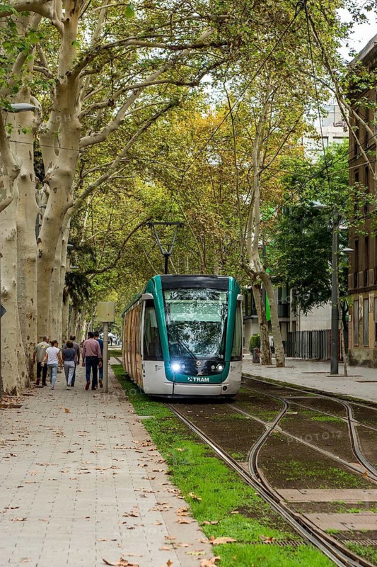 Public Tram Transit, Barcelona, Spain