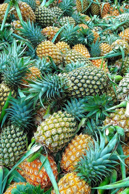 Fruit, Fruits, Harvested Pineapples, Chiang Mai, Thailand