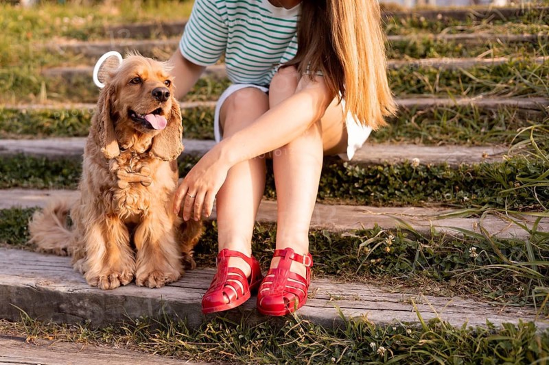 A woman in red sandals sits with a cocker spaniel on steps amidst grass in sunlight