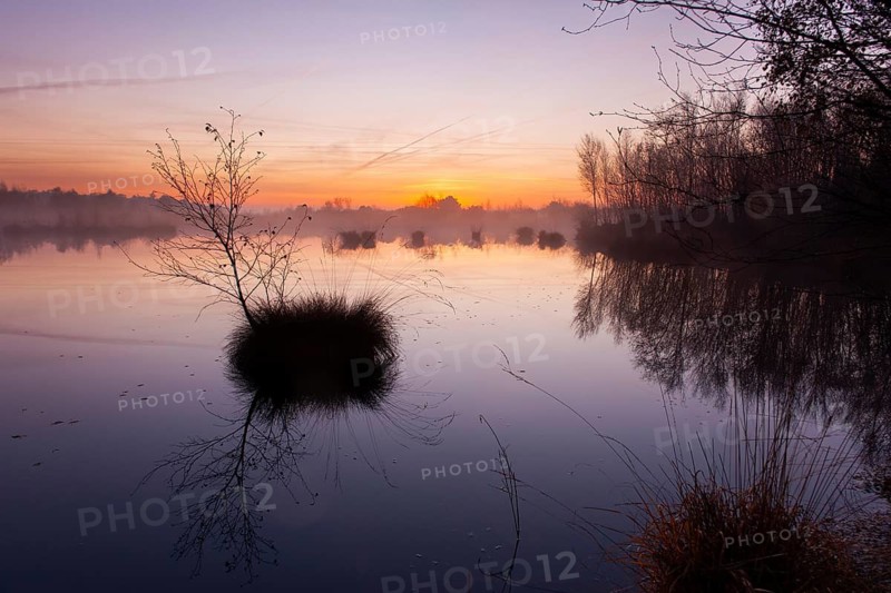 Daybreak in Goldenstedter Moor, Goldenstedt, Lower Saxony, Germany