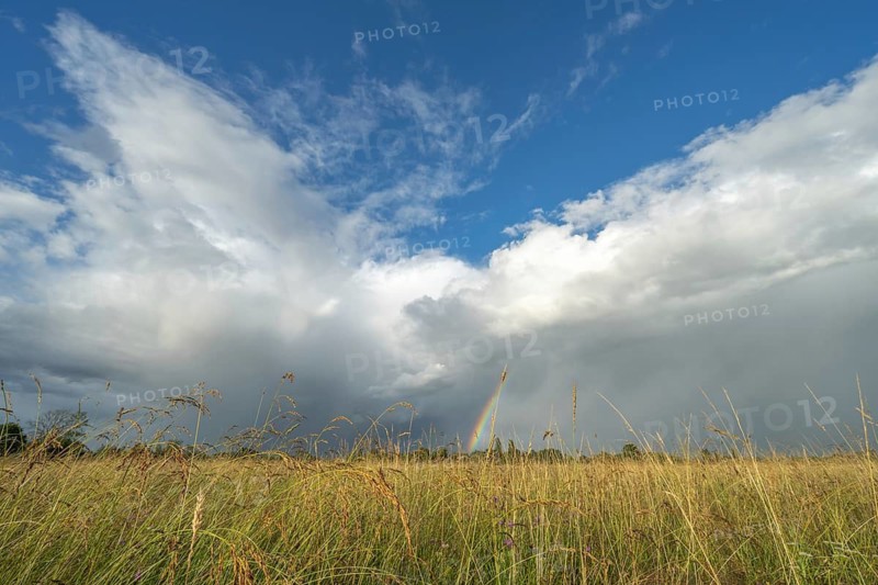 A rainbow appears in the cloudy sky over a field and bears witness to the traces of the recent storm in the countryside. Bas-Rhin, Alsace, France