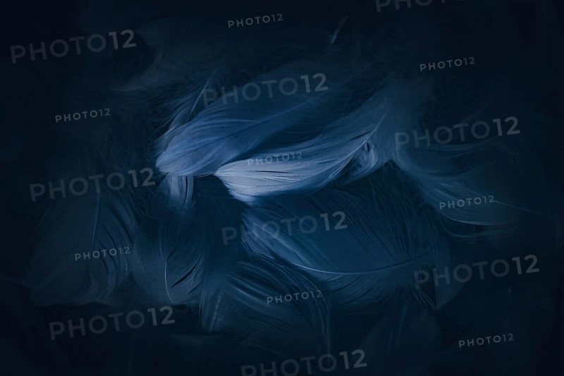 An abstract background featuring soft, flowing blue and dark hues. The design creates a sense of depth and movement, ideal for various creative projects