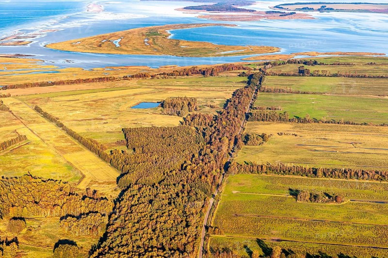 Aerial view of the Sundian meadows near Zingst in the Western Pomeranian Lagoon Area National Park, Zingst, Mecklenburg-Western Pomerania, Germany
