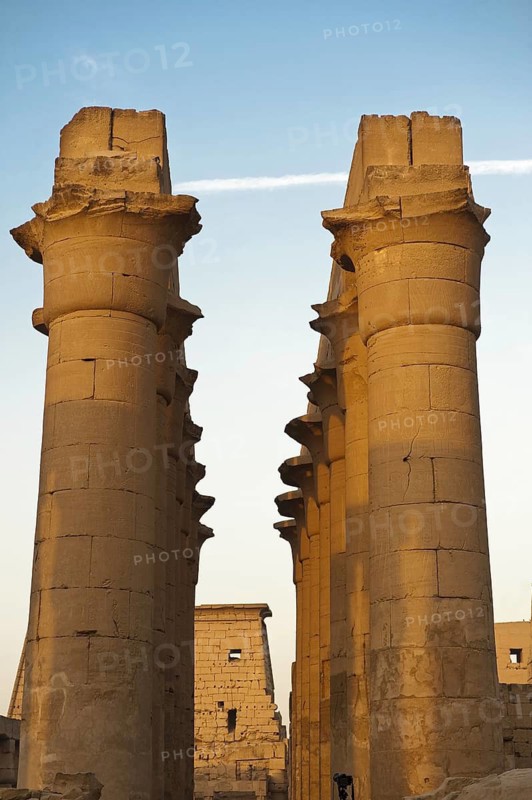 Egypt, Luxor, Luxor temple, columns