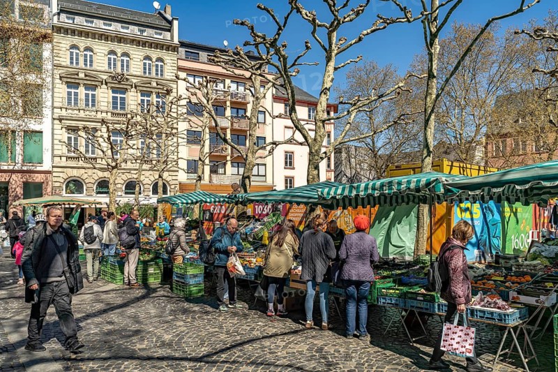 Weekly market in Mainz, Rhineland-Palatinate, Germany