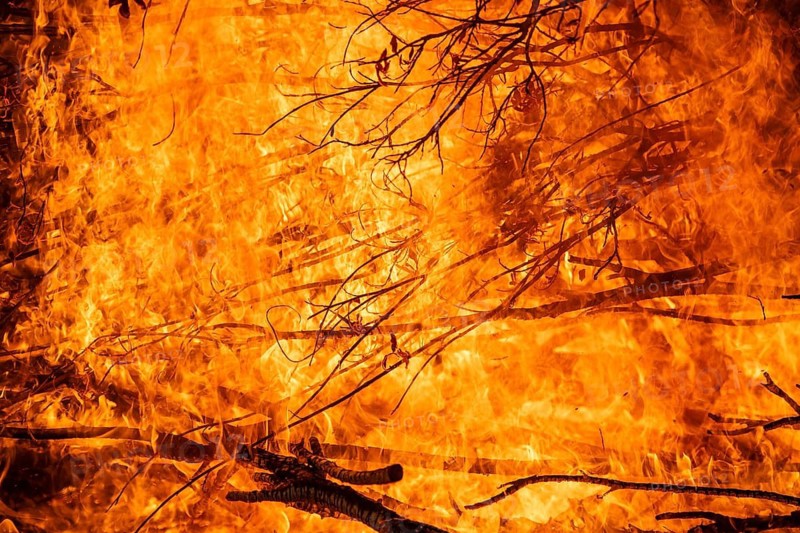 Dense flames burn branches in a strong, intense fire, Finland