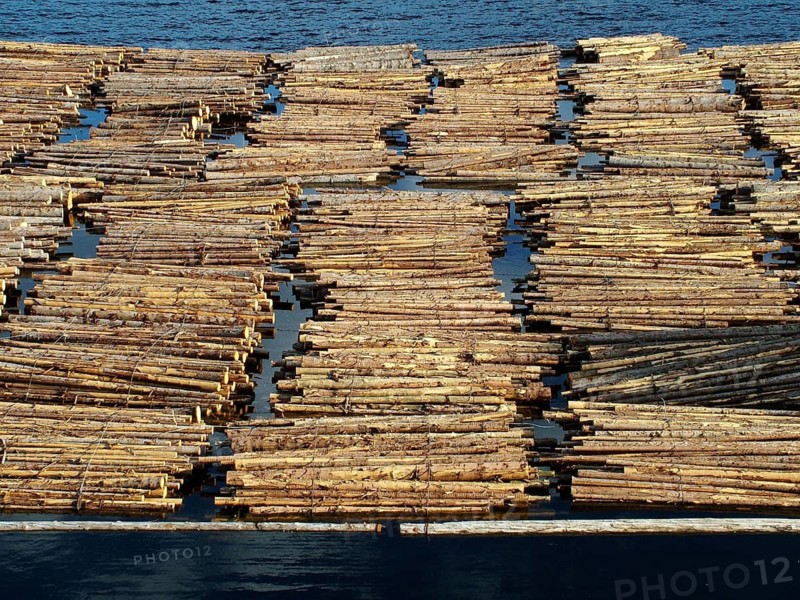 Geography, travel, trees, logs on water, Norway