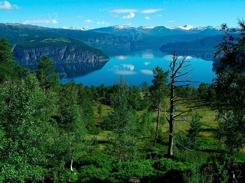Geography, travel, Norway, Innvikstfjorden, Karistova, fjord, mountains, forest. Geography, Travel, Landscape Innviksfjorden, Mountains, Wood, Norway, NORWAY