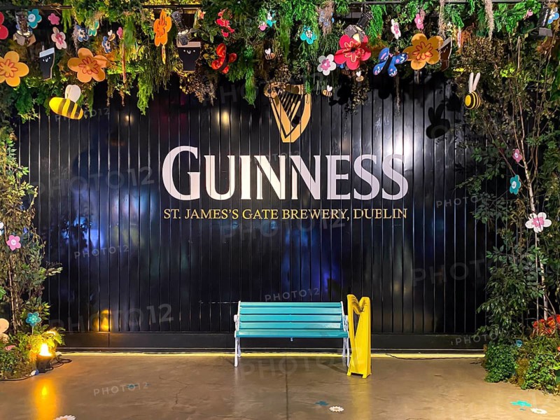 Wall with Guinness logo surrounded by decorations such as flowers and bees, a harp and a blue bench, in decorative, colorful style, Dublin, Ireland