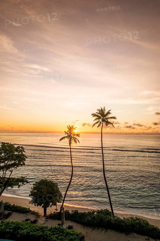 Anse Forbons Beach, Hilton's Double Tree Resort & Spa, Mahe, Seychelles, palm trees, Republic of Seychelles, Indian Ocean