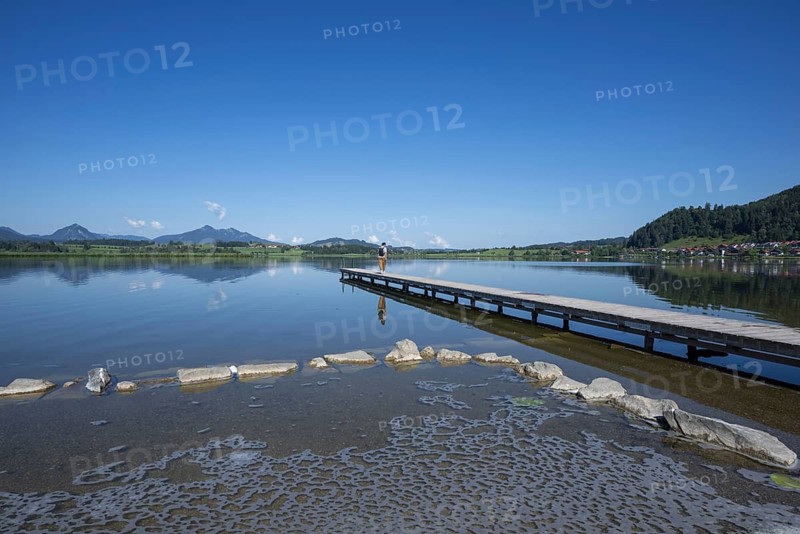 Algae foam on the shore, Hopfensee, Hopfen am See, near Füssen, Ostallgäu, Allgäu, Bavaria, Germany