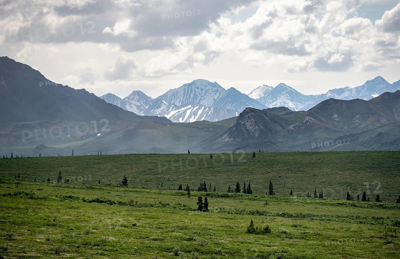 Tundra and mountain landscape with dramatic cloudy sky, Denali National Park, Alaska, USA